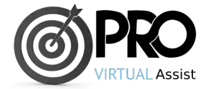 Pro-Virtual-Logo-Small (1)